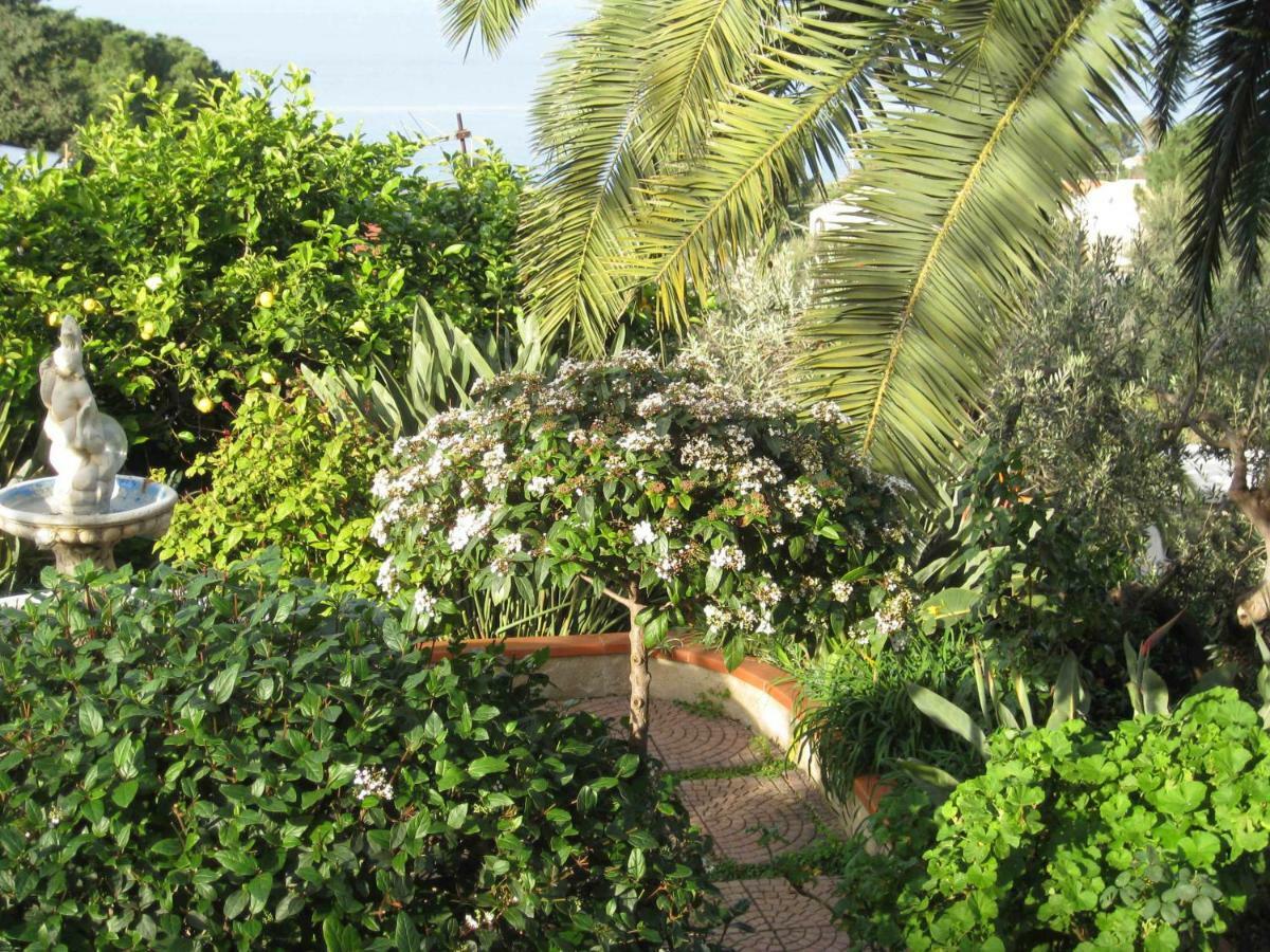 Green Villa Sand Beach Center Close Sea Veiw 切法卢 外观 照片